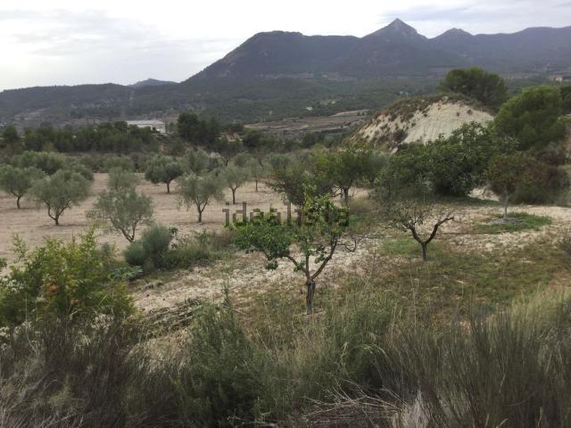 Terreno en venta en l'Alcoià, Valencia