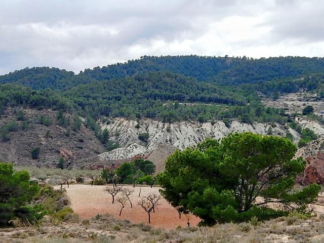 Terreno en venta en l'Alcoià, Valencia