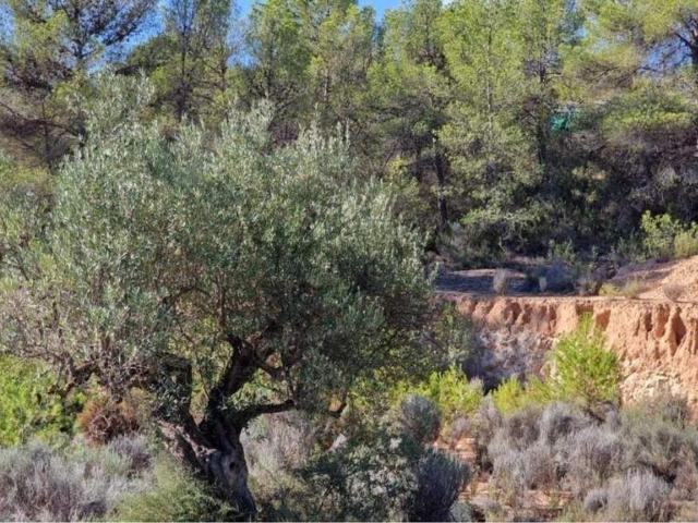 Terreno en venta en l'Alcoià, Valencia