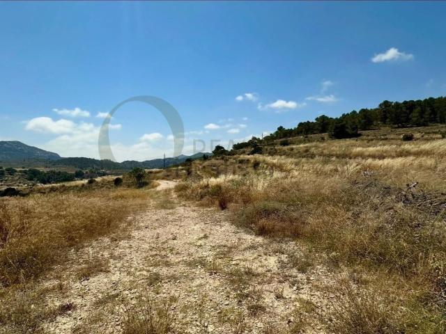 Terreno en venta en l'Alcoià, Valencia