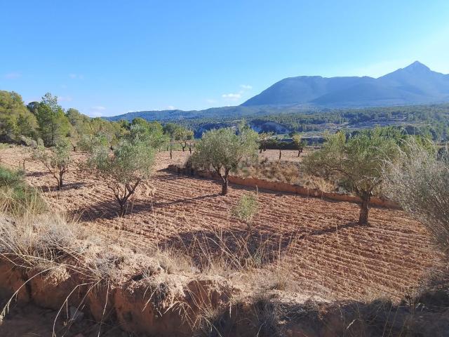 Terreno en venta en l'Alcoià, Valencia