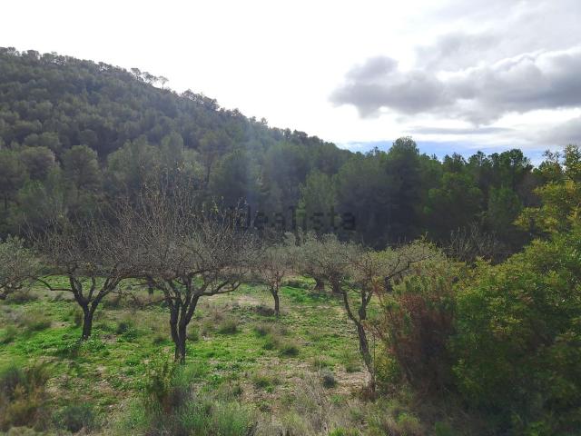 Terreno en venta en l'Alcoià, Valencia