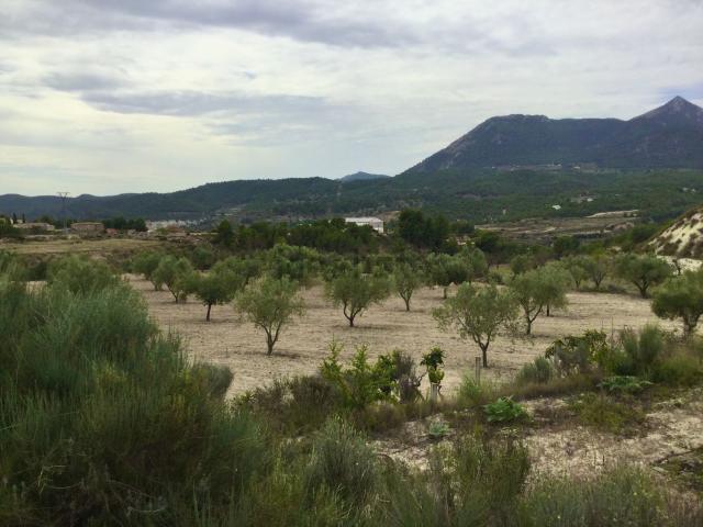 Terreno en venta en l'Alcoià, Valencia