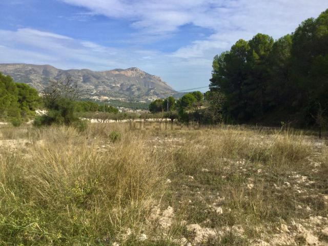 Terreno en venta en l'Alcoià, Valencia
