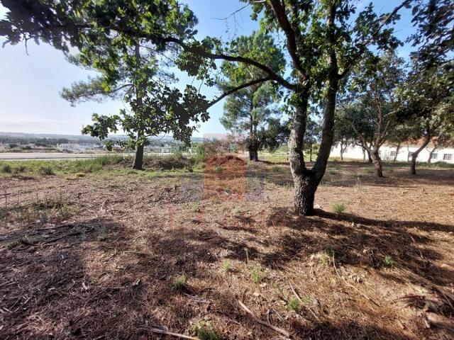 Terreno venda em Casais do Vau, Caldas Da Rainha