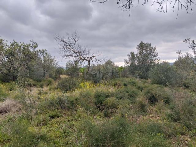 Terreno en venta en Baix Ebre, Catalunya