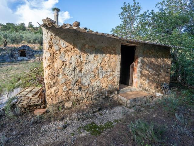 Terreno en venta en Baix Ebre, Catalunya