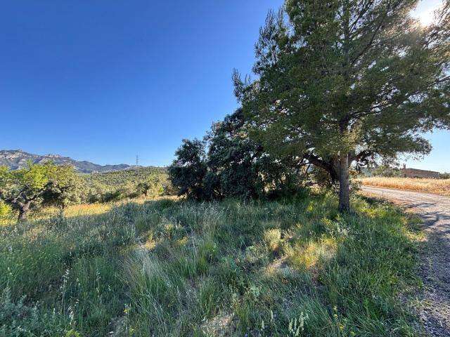 Terreno en venta en Ribera d'Ebre, Catalunya