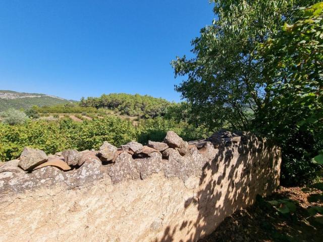 Terreno en venta en Ribera d'Ebre, Catalunya