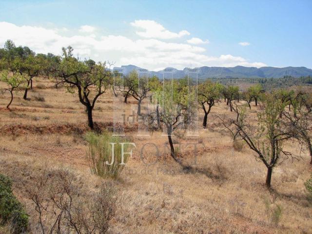Terreno en venta en Ribera d'Ebre, Catalunya