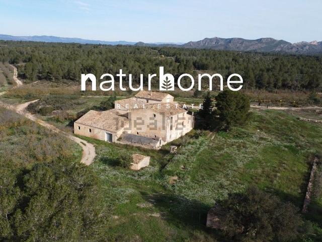 Terreno en venta en Ribera d'Ebre, Catalunya