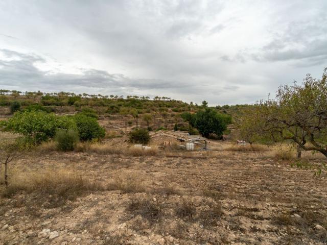 Terreno en venta en Ribera d'Ebre, Catalunya