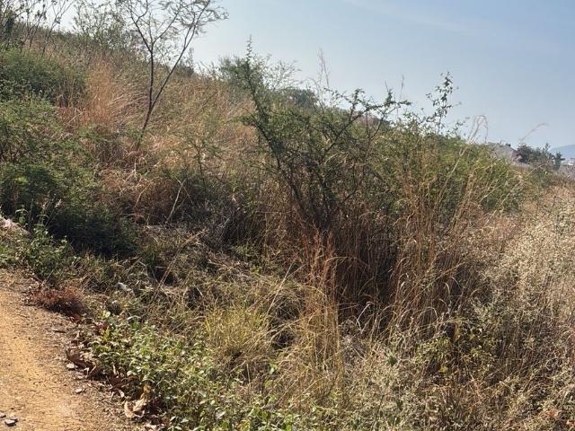 Terreno en venta en San Francisco Lachigoló, Oaxaca
