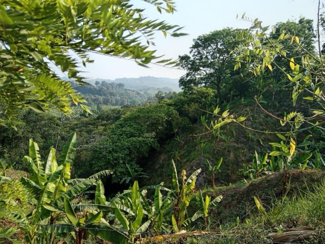 Terreno en venta en Tlapacoyan, Veracruz