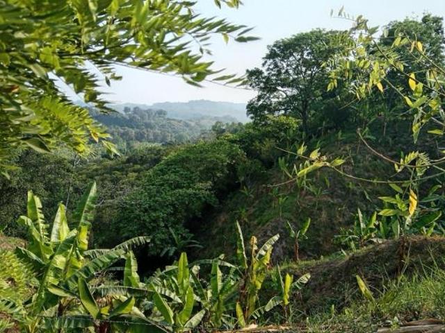 Terreno en venta en Tlapacoyan, Veracruz