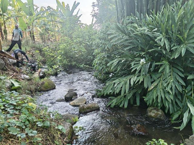 Terreno en venta en Tlapacoyan, Veracruz