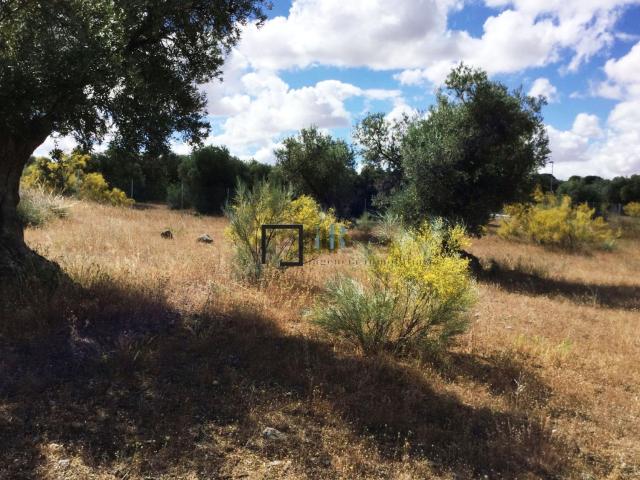 Terreno en venta en Toledo