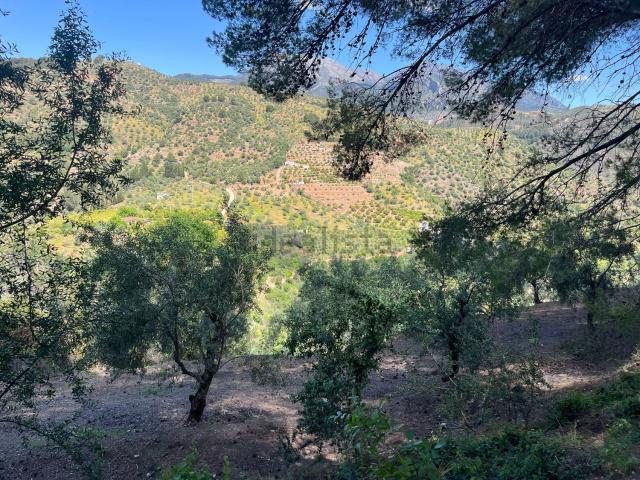 Terreno en venta en Tolox, Málaga