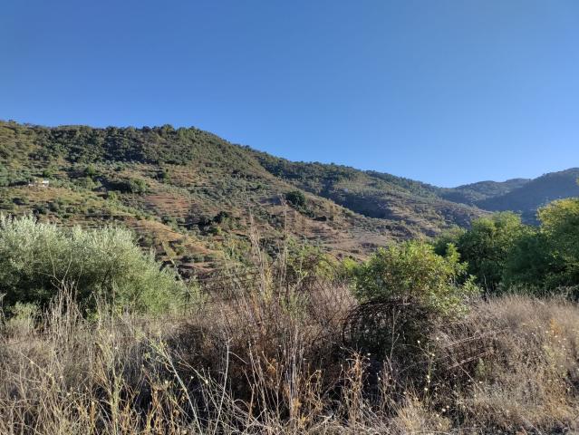 Terreno en venta en Tolox, Málaga