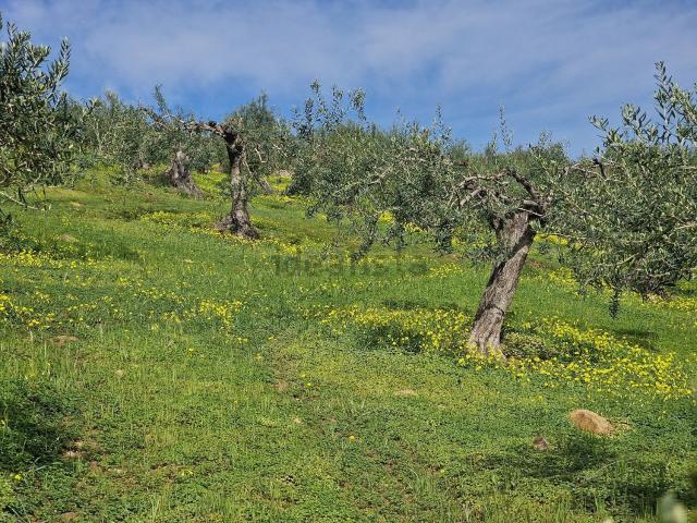Terreno en venta en Sierra de las Nieves, Andalucía