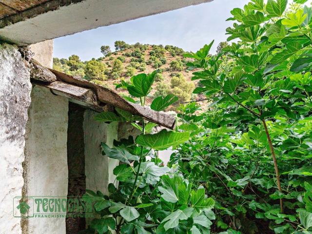 Terreno en venta en Sierra de las Nieves, Andalucía