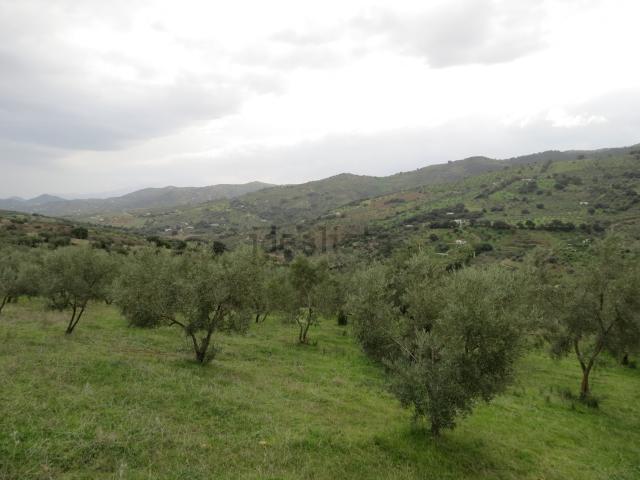 Terreno en venta en Tolox, Málaga
