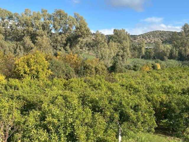 Terreno en venta en Tolox, Málaga