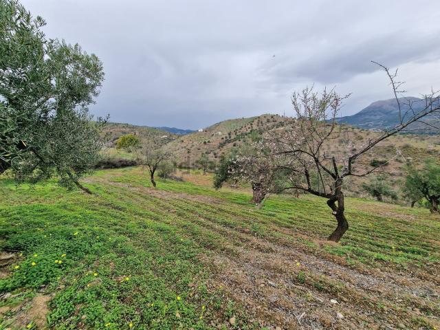 Terreno en venta en Sierra de las Nieves, Andalucía