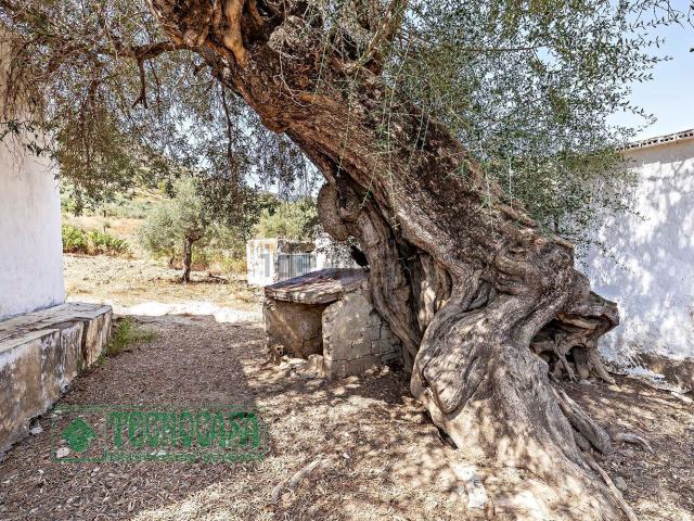 Terreno en venta en Tolox, Málaga