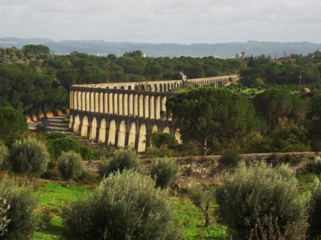 Terreno venda em Madalena e Beselga, Tomar