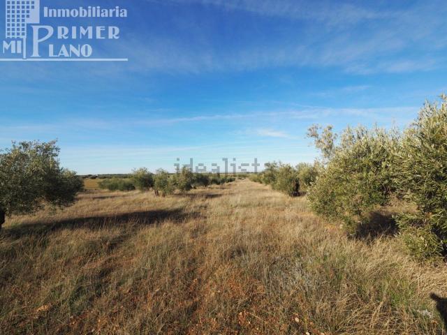 Terreno en venta en Socuéllamos, Castilla-La Mancha