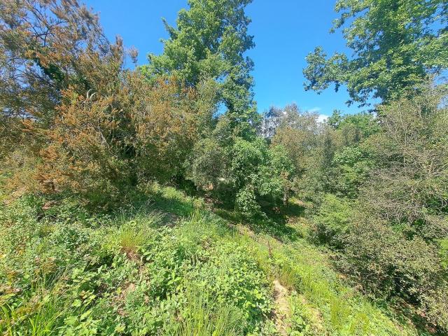Terreno en venta en les Ferreres, Tordera
