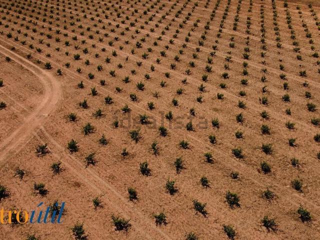 Terreno en venta en Toro, Castilla y León