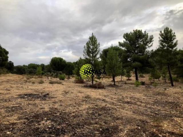 Terreno en venta en Toro, Castilla y León