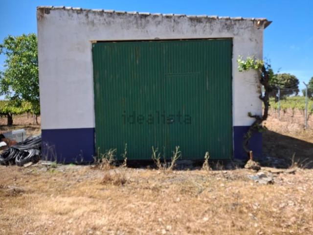 Terreno en venta en Torralba De Calatrava, Castilla-La Mancha