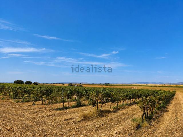 Terreno en venta en Torralba De Calatrava, Castilla-La Mancha
