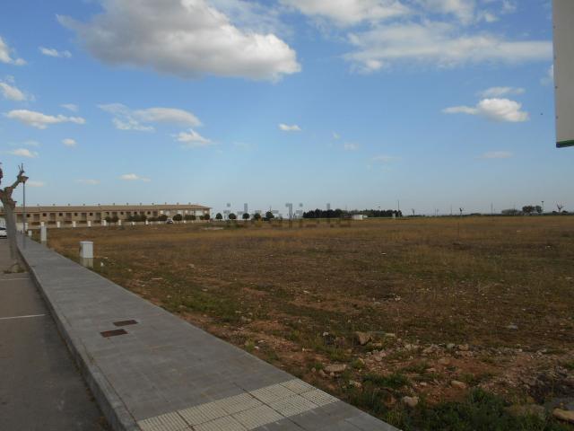Terreno en venta en Torralba De Calatrava, Castilla-La Mancha