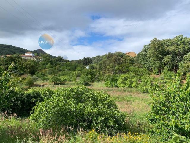 Terreno en venta en Torre De Don Miguel, Extremadura