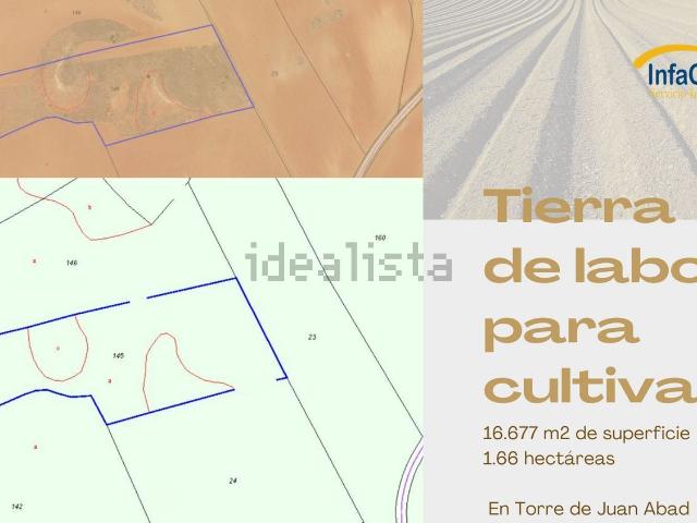 Terreno en venta en Torre De Juan Abad, Castilla-La Mancha