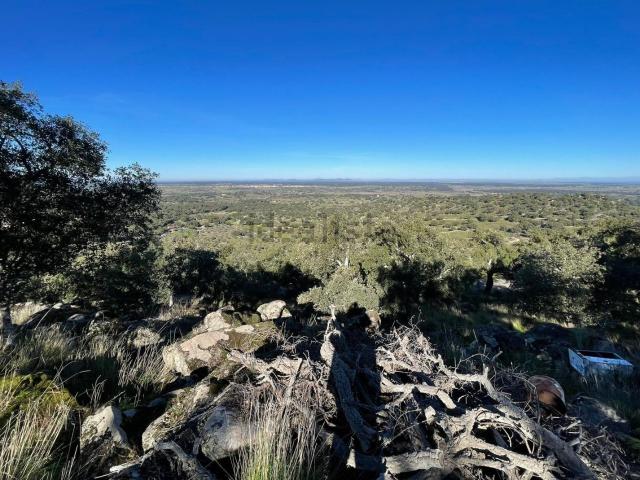 Terreno en venta en Montánchez, Extremadura