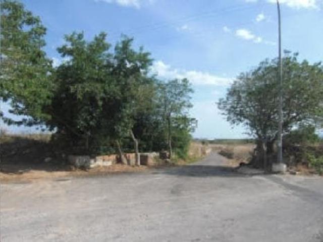 Terreno en venta en la Plana Alta, Valencia