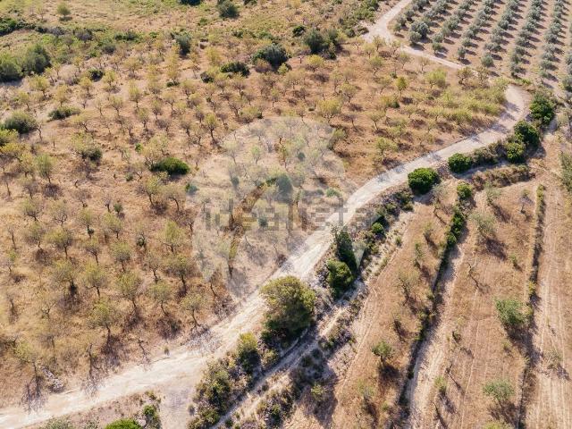 Terreno en venta en la Plana Alta, Valencia