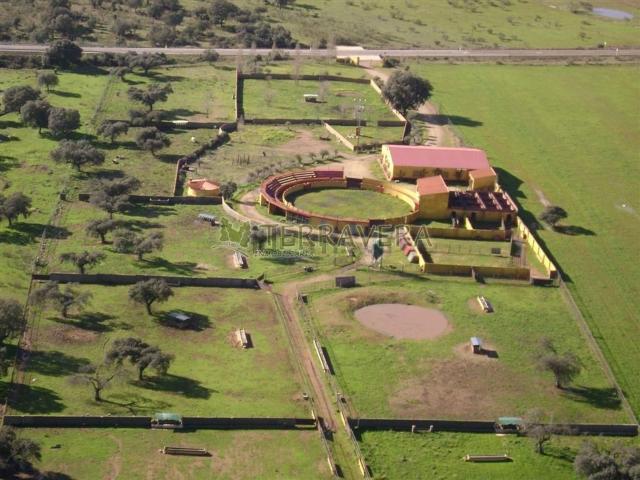 Terreno en venta en Torrejón El Rubio, Extremadura