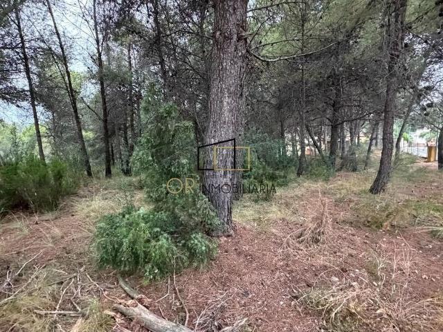 Terreno en venta en Alt Penedès, Catalunya