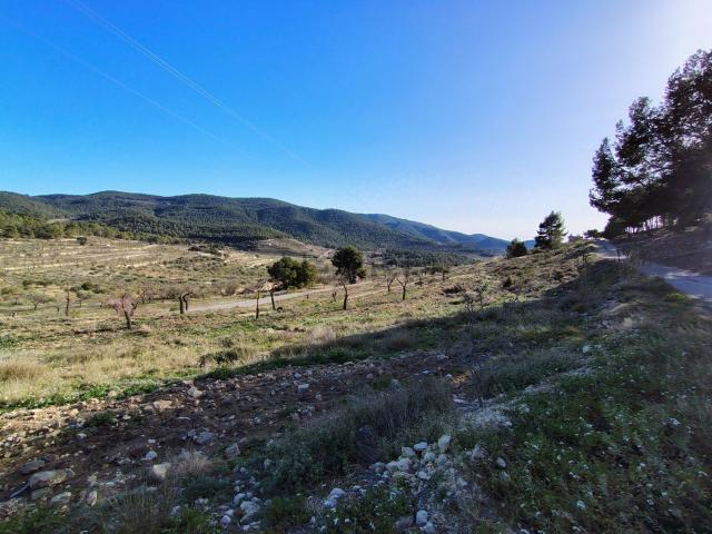 Terreno en venta en l'Alacantí, Valencia