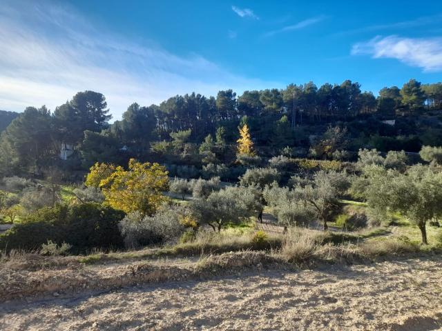 Terreno en venta en l'Alacantí, Valencia