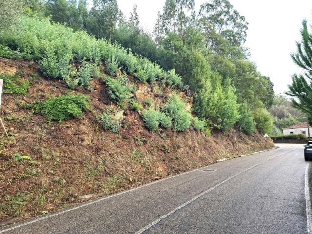 Terreno venda em Coimbrã, Torres Do Mondego