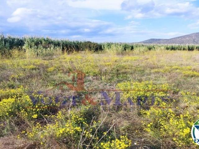 Terreno en venta en Vilacolum, Torroella de Fluvià