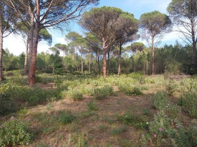 Terreno en venta en Baix Empordà, Catalunya