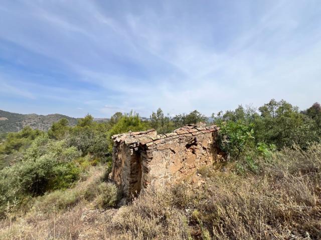 Terreno en venta en Priorat, Catalunya